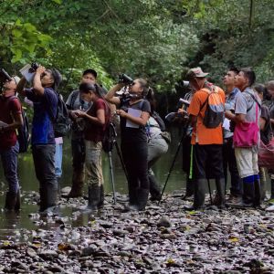 Birding at Rio Hondo (photo: Scott Hecker)