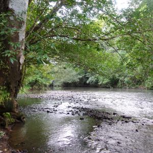 Rio Hondo (photo: Scott Hecker)