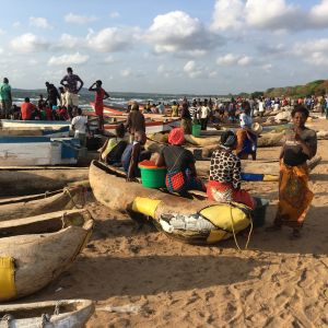 Senga bay usipa fishing