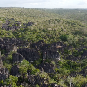 Mwapula rocks (leaf)5