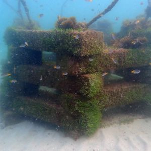 conservation and anti-trawling structure