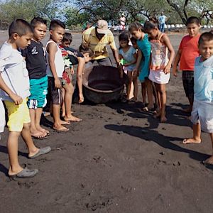 Turtles release project (20-09-18) copy