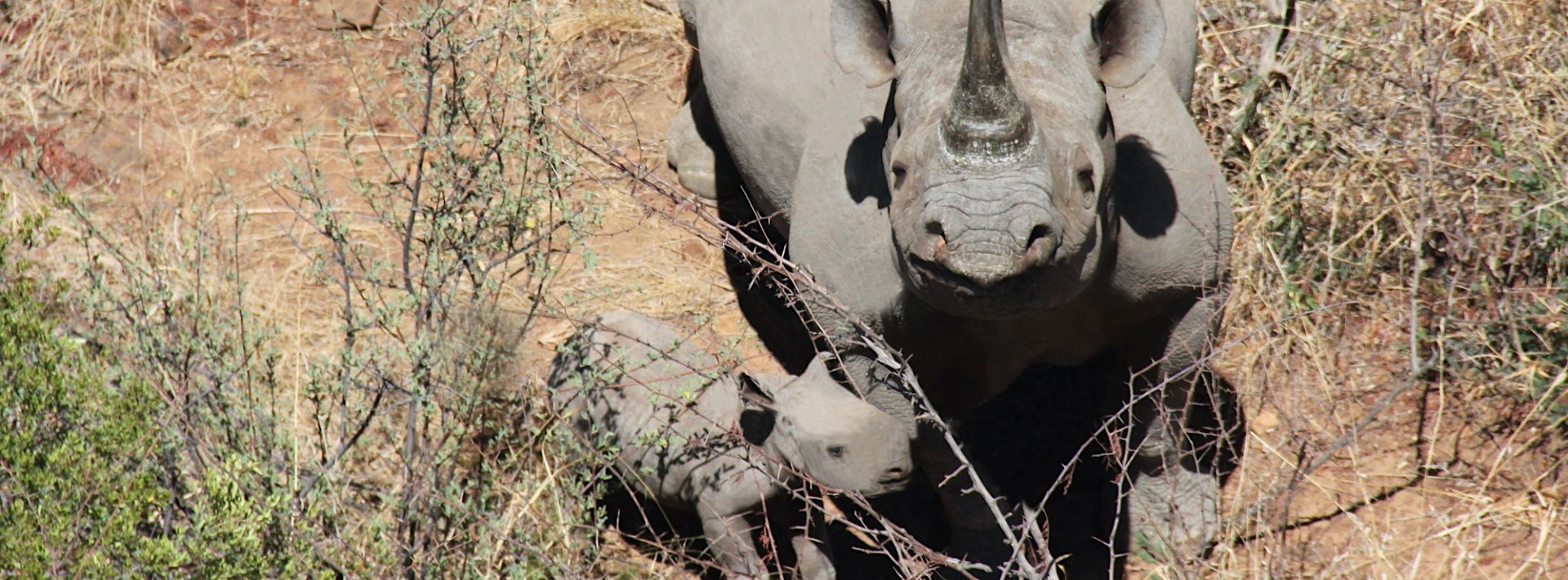 South Africa: Deploying strategic security and technology to save